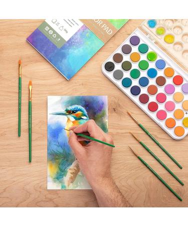 Norberg & Linden Watercolor Paint Set - 36 Premium Paints, 12 Page Pad, 6 Brushes - Painting Supplies with Palette - Watercolors, Art Pad Paper, and Artist Brushes_MG - Buy Online on SooperMarket.com