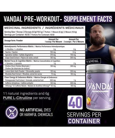 Vandal | Pre Workout Powder - Safe Nootropic Pre Workout Supplement for Men & Women | Boosts Energy Focus Performance & Recovery | Nitric Oxide Booster for Blood Flow | 40 Servings (Royal Lemonade) - Buy Online on SooperMarket.com