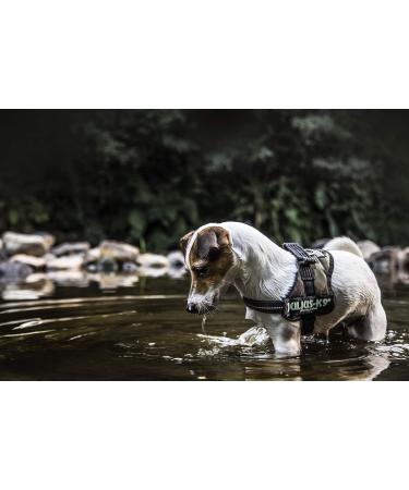 Buy K9 Powerharness XL/2 - Camouflage Dog Harness for Ultimate Comfort & Durability | International Shipping Available - Buy Online on SooperMarket.com
