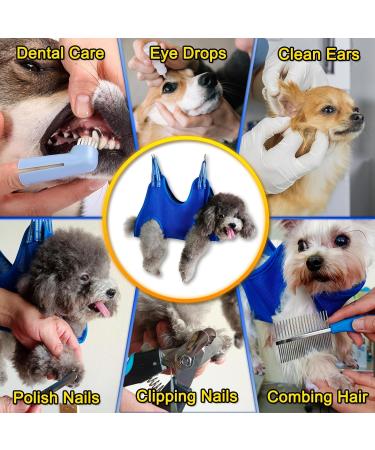 Buy Ovtexzog Dog Care Hammock Harness - Nail Claw Cutting Tool for Small Dogs (Up to 6kg) - Blue - International Shipping Available - Buy Online on SooperMarket.com