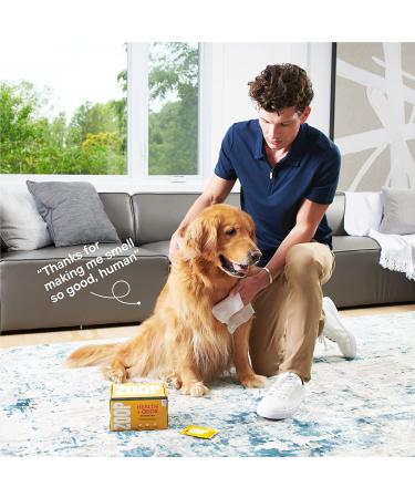 ZOOP Dog Wipes - Natural Whole-Body Odor Eliminator for Dogs & Cats | Fragrance-Free | 60 Count - Buy Online on SooperMarket.com