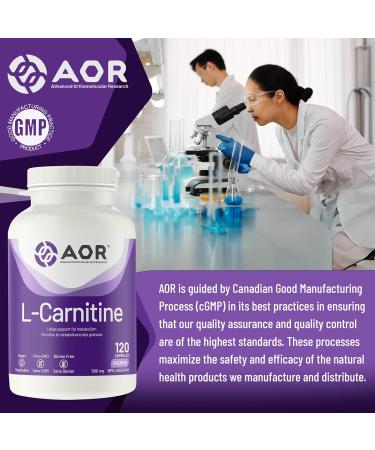 AOR - L-Carnitine 500mg 120 Capsules Pure L-Carnitine Tartrate Supports Energy Metabolism Muscle Recovery & Athletic Performance Promotes Fitness Goals L-Carnitine Capsules for Active Lifestyle - Buy Online on SooperMarket.com