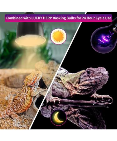 LUCKY HERP Reptile Night Heat Bulb 50W Night Heat Lamp Bulbs for Reptiles 2 Pack Reptiles & Amphibians Basking Spot Light Bulb for Bearded Dragon Lizard Snake Turtle Chameleon - Buy Online on SooperMarket.com