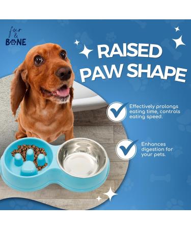 Double Slow Feeder Dog Bowl | Raised Non-Slip Stainless Steel Cat Food & Water Bowl | Detachable Blue Cat Bowl - Buy Online on SooperMarket.com