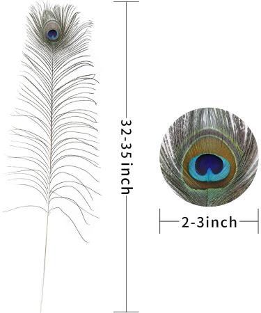Soarer Long Peacock Feathers Bulk - 25pcs 32-35 inches for Vase, Holiday Decoration & DIY Crafts - Buy Online on SooperMarket.com