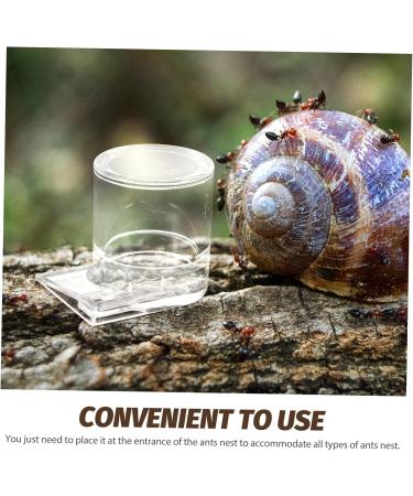 GREENADSCAPE Pet Water Feeder Ant Feeder Ant Feed Bowl Ant Keeper Tools Ant Bowl Ant Feeding Cup Plastic - Buy Online on SooperMarket.com