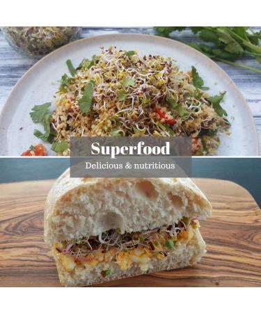 VERDANT REPUBLIC Organic Protein Power Sprouting Seeds Mix 500g | Non GMO Superfood Microgreens | Easy to Sprout with Peas Chick Pea Mung & Adzuki Beans - Buy Online on SooperMarket.com