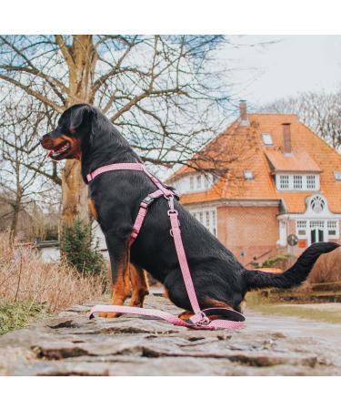 Max & Molly H-Harness - Retro Pink | Comfortable & Stylish Dog Harness for International Shipping - Buy Online on SooperMarket.com