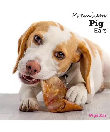 Drool Pet Products 100% Pigs Ears (10 Pack) | Natural Healthy Dog Chews | Raw Dog Treats - Grain, Gluten & Lactose Free - Buy Online on SooperMarket.com