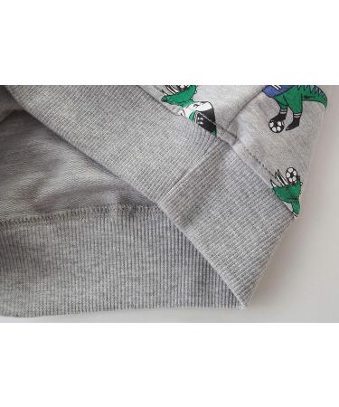 Kids Dinosaur Sweatshirt | Cotton Long Sleeve Pullover for Boys & Girls | Toddler Baby Clothes 2-3 Years Grey - Buy Online on SooperMarket.com