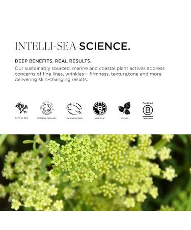 Vitalisea Time Traveler Facial Serum | Bio-Retinol Anti-Aging Organic | Vegan & Enhances Cellular Turnover | 1 Oz - International Shipping - Buy Online on SooperMarket.com