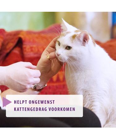 Feliway 066096 - Classic Pheromone Diffuser Refill 48 ml Cat Stress Reducing - Buy Online on SooperMarket.com