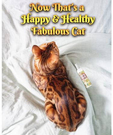Fluffy Feline Cat Dandruff Care Spray - Buy Online at [Your Company Name] - Buy Online on SooperMarket.com