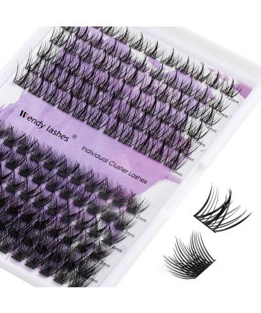 Individual Lashes 0.07mm Cluster Lashes D Curl 12-16mm Mixed Long Individual Eyelashes Cluster DIY Lash Extensions Reusable Soft and Wispy Cluster Eyelash Extensions(ZW24A/SN01-D-MIX12-16) RR-12-16mm ZW24A+SN01-0.07D