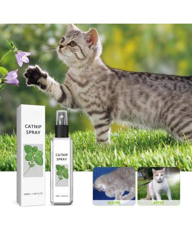 100ml Herbal Cat Joy Spray Herbal Cat Joy Celery Pets Catnip Spray for Cats Cat Scratching Spray Mist Cat Training Spray with Catnip Catnip Spray for Indoor Cats Cat Nips Spray for Cat Anxiety Relief - Buy Online on SooperMarket.com