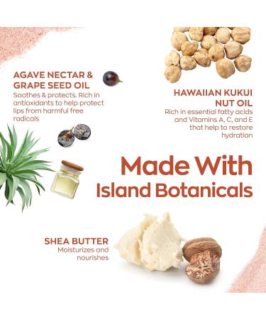 Hanalei Lip Treatment Bundle - Clear & Mauve Pink | Infused with Kukui Oil, Shea Butter, Agave & Grapeseed Oil for Dry Lips (Cruelty-Free & Paraben-Free) - Buy Online on SooperMarket.com