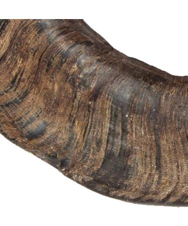Buy TX-27743 Buffalo Chewing Horn Large - Natural Dog Chew | 1 Piece Pack - Durable & Healthy Treat - Buy Online on SooperMarket.com
