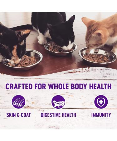 Wellness Grain-Free Wet Cat Food Pouches - Chicken & Turkey, Shredded Protein in Gravy, 24-Pack - Natural, Adult, 3 oz - Buy Online on SooperMarket.com