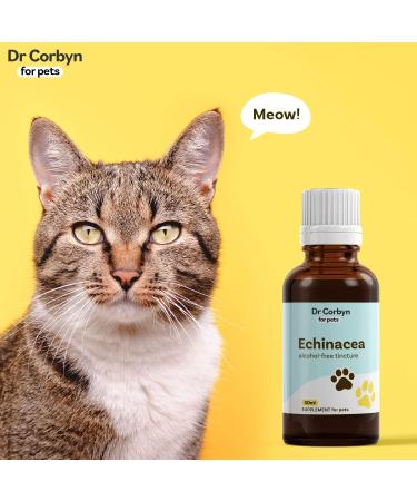 Dr Corbyn Pets Echinacea Drops 50ml | Immunity Support for Dogs & Cats | Natural Echinacea Supplement - Buy Online on SooperMarket.com