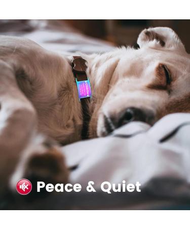 Personalized Yhananti Dog Tag & Cat Tag - Engraved Stainless Steel Pet ID with Name Phone Address - Colorful S for 10mm Collar - Buy Online on SooperMarket.com