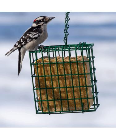 C&S Wild Bird Double Suet Basket  2.7" D x 5.3" W x 5.2" H - Buy Online on SooperMarket.com