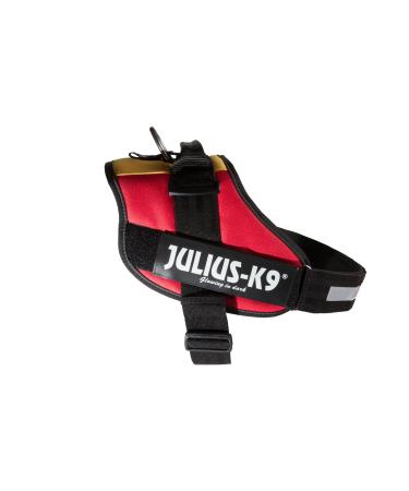 IDC Powerharness Size: XL/2 Belgian Colors Belgian Colors XL/2
