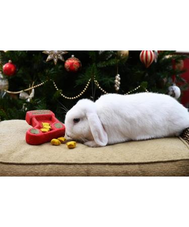 Cupid & Comet Rosewood Cupid & Comet Christmas Puzzle Stocking Gnaw Treat for Small Animals - Buy Online on SooperMarket.com
