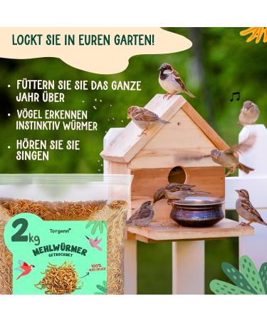Torgenn Mealworms 2kg - Nutrient-Rich 100% Natural Wild Bird & Fish Food | GVO-Free Additive-Free - Buy Online on SooperMarket.com