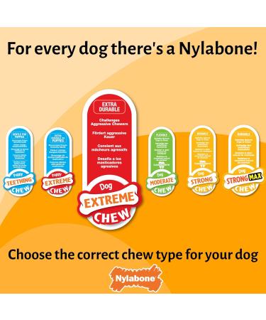 Nylabone Extreme Power Chew Gator Tail Alternative Dog Chew Toy Chicken Flavour - Large/Giant (Up to 23kg) - Buy Online on SooperMarket.com