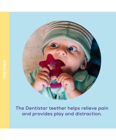 Dentistar Bei ring 2 Set - Soft Baby Teether for 3+ Months - Dental Aid & Massage - Made in Germany - Purple - Buy Online on SooperMarket.com