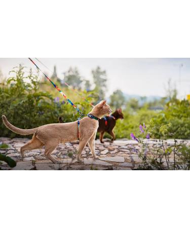Pidan Cat Dishes & Leash | Adjustable Travel Cat Bowls for Large & Small Cats | Pet-Safe Lightweight Soft Design - Blue - Buy Online on SooperMarket.com
