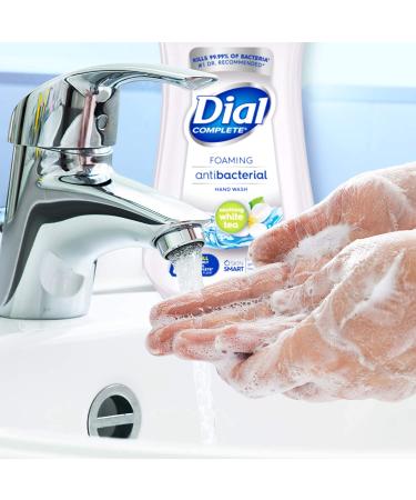 Dial Complete Antibacterial Foaming Hand Wash Refill, Soothing White Tea - 32 fl oz - Buy Online on SooperMarket.com