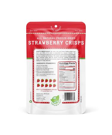 Natures Turn Freeze-Dried Strawberry Crisps - School Lunch or On-The-Go Snack - Non GMO, Gluten Free, No Sugar Added - 6-Pack 0.53oz - Buy Online on SooperMarket.com