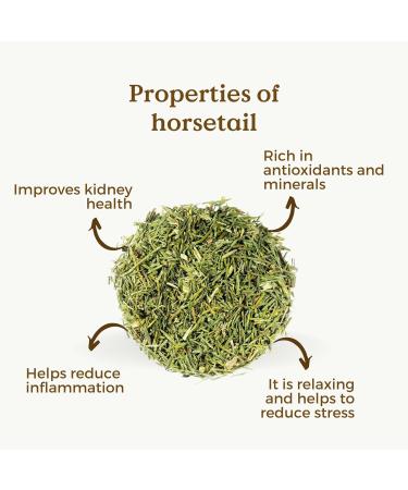Horsetail Tea Organic 100g (50 Cups) | Horsetail Organic Herbal Leaf Tea | Equisetum Arvense REPLANTEA - Buy Online on SooperMarket.com
