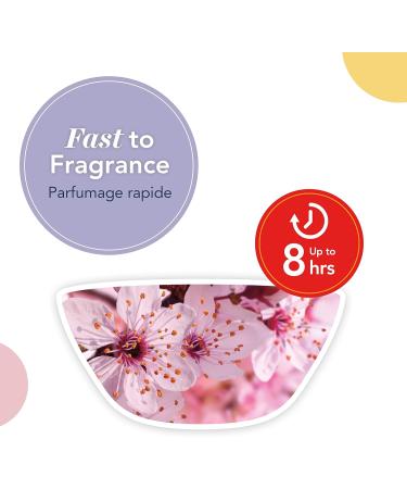Dr. Beckmann Carpet Stain Remover | Removes New and Dried-in Stains | Includes Applicator Brush 650 ml & Yankee Candle Wax Melts | Cherry Blossom | Up to 8 Hours of Fragrance | 1 Count - Buy Online on SooperMarket.com