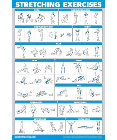 Buy Palace Learning 3-Pack: Resistance Tapes Workouts Vol. 1 & 2 + Stretching Exercises Poster Set - Laminated 18 X 24 Training Tables for International Shipping - Buy Online on SooperMarket.com
