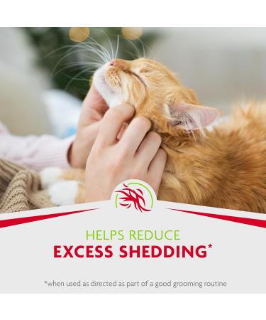 Furminator Waterless Foaming Shampoo & Deshedding Comb for Cats | Reduce Hair Loss & Odor - International Shipping - Buy Online on SooperMarket.com