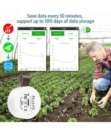 Ankilo Wireless Thermometer Hygrometer - Accurate Temperature & Humidity Sensor with Data Export for Home Garage Greenhouse & Baby Room (2 Pack) - Buy Online on SooperMarket.com