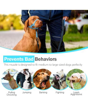 Weesiber Medium Blue Soft Dog Collar - Adjustable Padded Halter with Reflective Strips for Safe Training & Walking - No Pull Design - Buy Online on SooperMarket.com