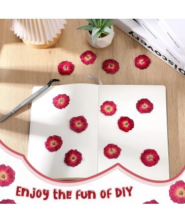 100 Pcs Red Rose Dried Pressed Flowers - Natural Resin Filler for DIY Crafts and Decor - Buy Online on SooperMarket.com