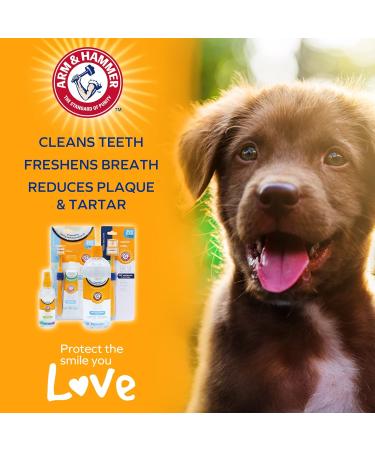ARM & HAMMER Fresh Spectrum Coconut Mint Dog Water Additive 473ml - Dental Care for Dogs - Plaque & Tartar Removal - Breath Freshener - Gum & Teeth Cleaning - No Brushing Needed - Easy Pet Oral Hygiene - Buy Online on SooperMarket.com