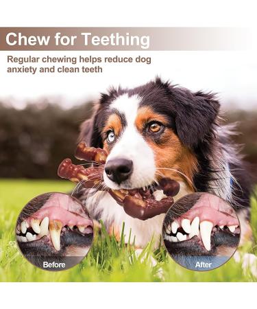 LUKITO Indestructible Dog Chew Toy - Real Beef - Aggressive Chewers - Large Dogs - Brown - Buy Online on SooperMarket.com