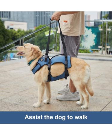 COODEO Dog Lifting Harness - Adjustable Breathable Support for Rehabilitation | Ideal for Old & Disabled Pets - Blue - International Shipping - Buy Online on SooperMarket.com