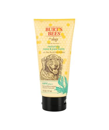 Burt's Bees for Dogs Care Plus+ Natural Sea Buckthorn & Kelp Restoring Nose & Paw Lotion | Heals & Moisturizes Dog Noses and Paws | pH Balanced for Dogs - Made in USA, 6 Oz Bottle of Lotion Paw & Nose Lotion - 6 oz