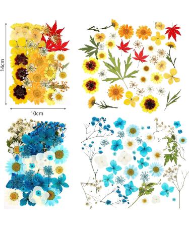 Dried Pressed Flower Leaves Set with Tweezers - 110 Assorted Natural Daisy Flowers for DIY Crafts & Decorations - Buy Online on SooperMarket.com