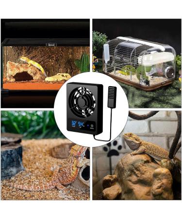 Neamou Reptile Fan - Smart Cooling Fan for Reptile Tank with LED Display | Strong Wind Vent Fan Low Noise Cooling Fan for Amphibians Reptiles Snakes B: Celsius ( ) - Buy Online on SooperMarket.com