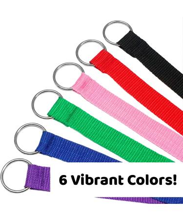 Downtown Pet Supply 6ft Dog Kennel Slip Lead Leash - Veterinarian Approved for Grooming, Daycare & Rescue - Bulk Pack of 6 Thick Leashes for Dogs - Buy Online on SooperMarket.com