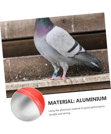 Balacoo 300 Pcs Homing Pigeon Identification Ring Tools Private Pigeons Marker Bird Distinguish Tool Birds 1.1x0.8cm x3pcs Colorfulx3pcs - Buy Online on SooperMarket.com