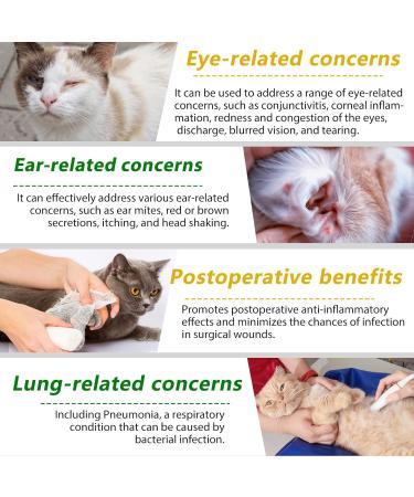 Cat Antibiotics & Supplements - Immune Support, Allergy Relief, UTI Prevention - Chicken Flavour - 2 Fl Oz - Buy Online on SooperMarket.com