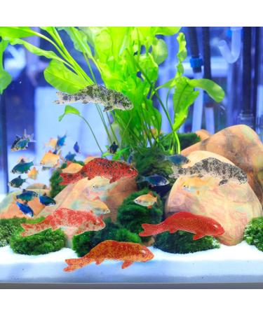 Artificial Floating Fish Decoration - 5pcs Aquarium Model for Terrarium & Landscape Crafts - Buy Online on SooperMarket.com